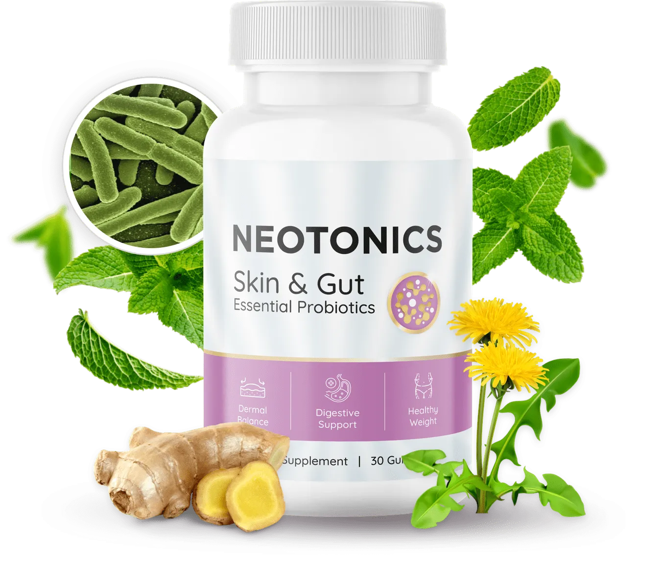 Neotonics 1 Bottle